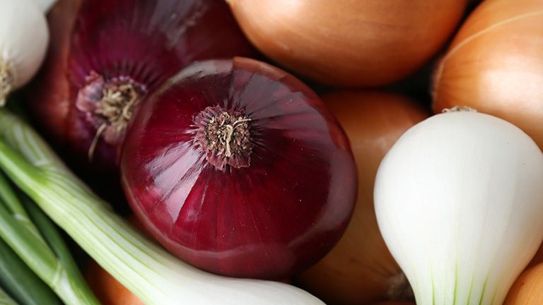 cebolla de calfruitos.jpg